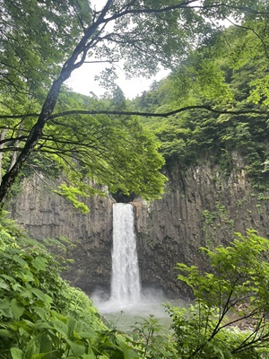 マイナスイオン🍃